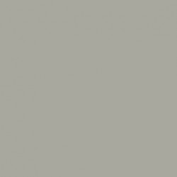 Gris Goéland Clair USN - USN Light Gull Gray