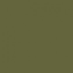 Vert Clair US - US Light Green