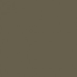 Olive Clair RAL6040 - Light Olive RAL6040