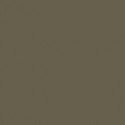 Olive Clair RAL6040 - Light Olive RAL6040