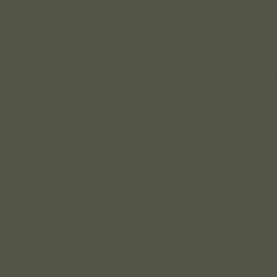 Vert Bronze RAL6031 - Bronze Green RAL6031