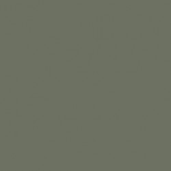 Gris Clair RLM63 - Light Grey RLM63