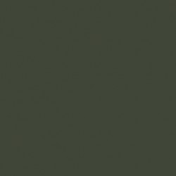 Vert Olive RLM80 - Olive Green RLM80