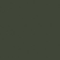 Vert Olive RLM80 - Olive Green RLM80