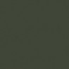 Vert Olive RLM80 - Olive Green RLM80
