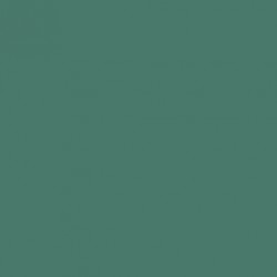 Vert Clair RLM25 - Light Green RLM25