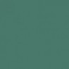 Vert Clair RLM25 - Light Green RLM25