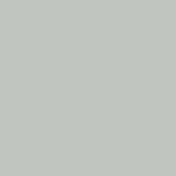 Gris Clair USAF - USAF Light Gray