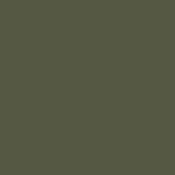 Vert Foncé US - US Dark Green