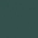 Vert Foncé Profond IJN - IJN Deep Dark Green