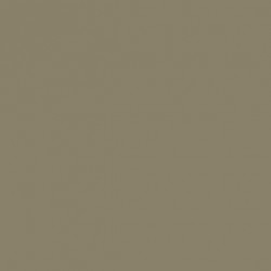 Gris Cendré IJN - IJN Ash Grey