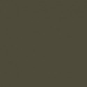 Olive Foncé N41 - N41 Dark Olive Drab