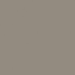 Brun Gris Clair AMT1 - AMT1 Light Grey Brown