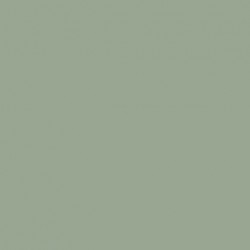 Vert Gris Clair IJA - IJA Light Grey Green