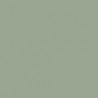Vert Gris Clair IJA - IJA Light Grey Green