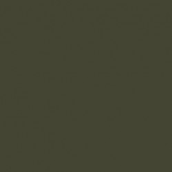 Vert Foncé BS  BS Dark Green