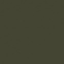 Vert Foncé BS  BS Dark Green