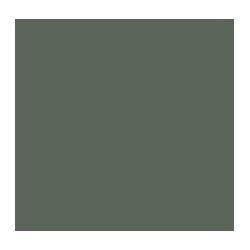 Gris Vert  Green Grey