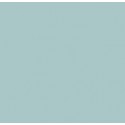 Bleu Clair AF  Russian AF Light Blue