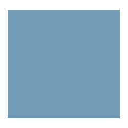 Gris AF Russe N°7  Russian AF Grey N.7