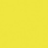 Jaune Fluorescent