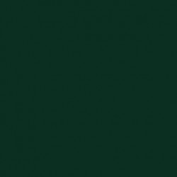 Feu de Position Vert