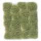 Wild Tuft - Light Green - Vert Clair 12mm