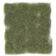 Wild Tuft - Dry Green - Vert Sec 12mm