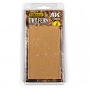 Dry Fern
