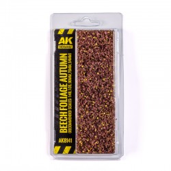 Beech Foliage Autumn