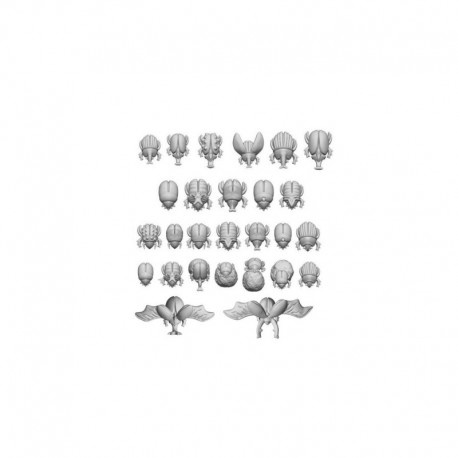 Scarabées ©?gyptiens 1:48