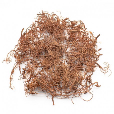 Racines dâArbres Diorama