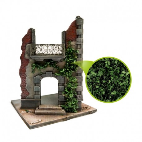 Feuillage lierre miniature - Chêne vert foncé - Large