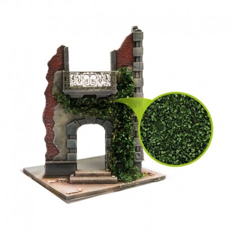 Feuillage lierre miniature - Chêne vert foncé - Petit