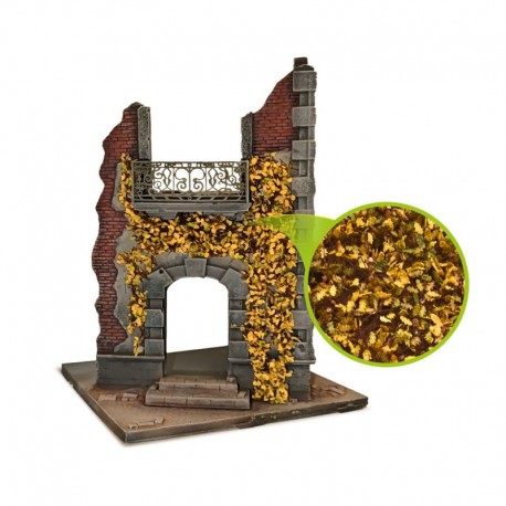 Feuillage lierre miniature - Chêne Jaune - Petit