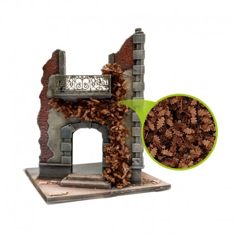 Feuillage lierre miniature - Chêne Marron - Large