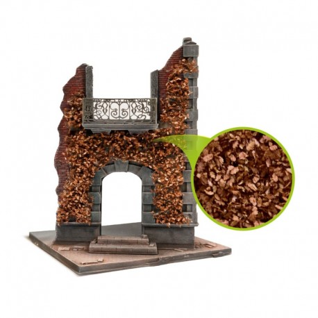 Feuillage lierre miniature - Chêne Marron - Petit