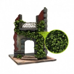 Feuillage lierre miniature - Erable vert foncé - Large