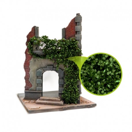 Feuillage lierre miniature - Bouleau vert foncé - Large