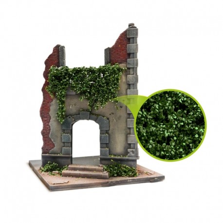 Feuillage lierre miniature - Bouleau vert foncé - Petit