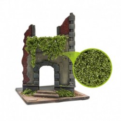Feuillage lierre miniature - Bouleau vert clair - Petit