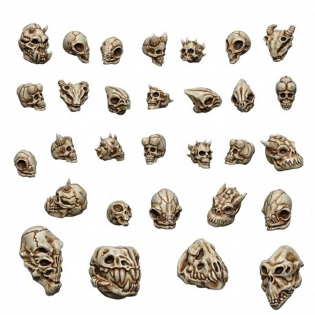 Crânes d'aliens 1:48