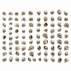 Crânes Humains en résine 1:48-1:35