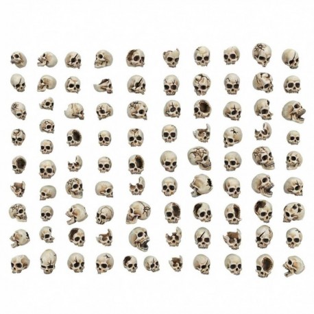 Crânes Humains en résine 1:48-1:35