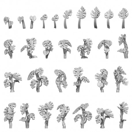 Plantes de Monstera 1:48-1:35