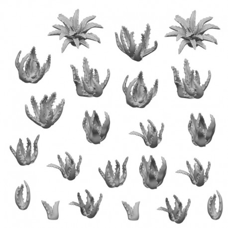 Aloe en Résine 1:48-1:35