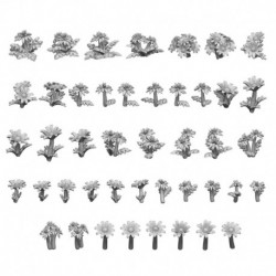 Pâquerette et pissenlit 1:48-1:35