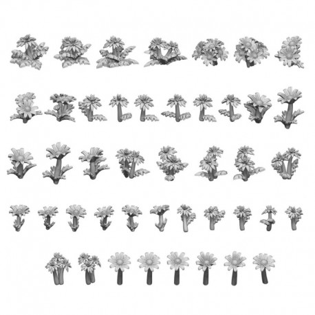 Pâquerette et pissenlit 1:48-1:35