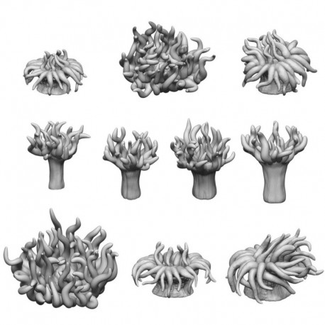 Anémones de mer 1:48-1:35