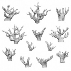 Arbustes Secs 1:48-1:35